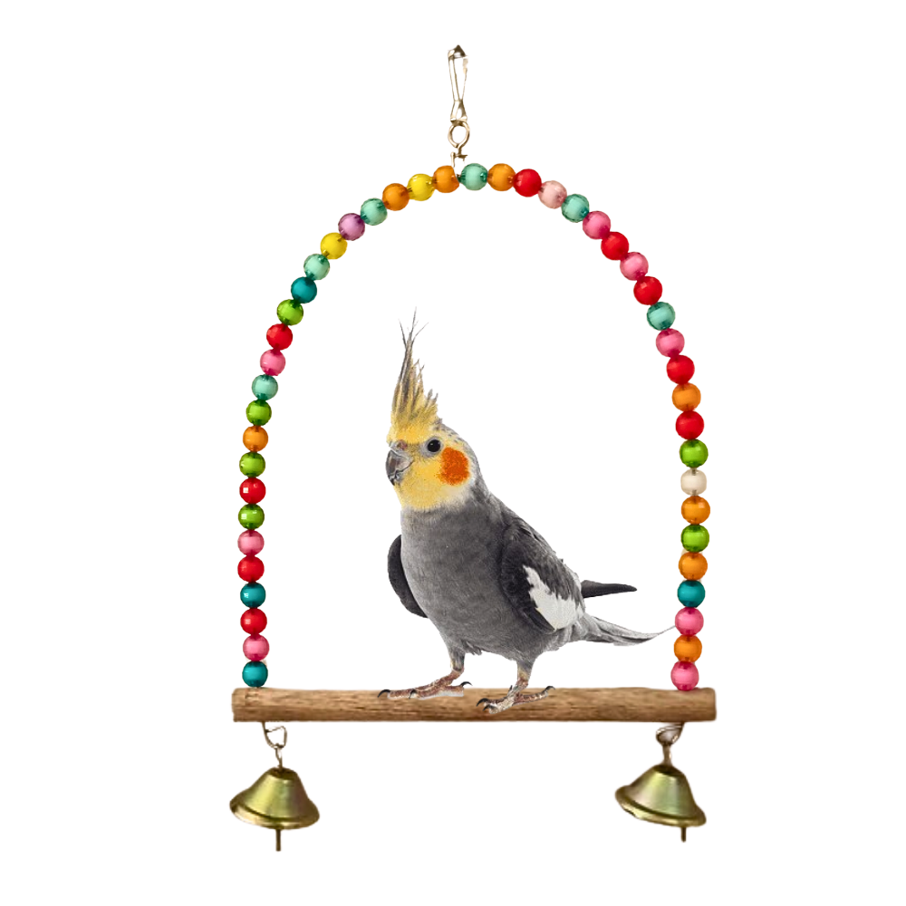 6 Pcs Birdy Bundle Pack for Cockatail Lovebirds & Small Parrots - Image 4