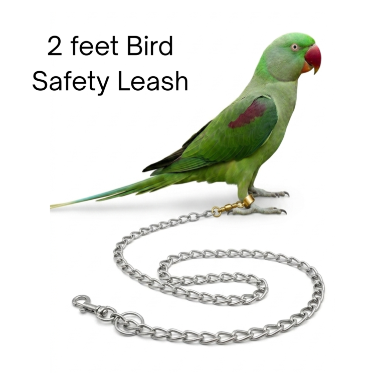 CHAINLINKTOY_1