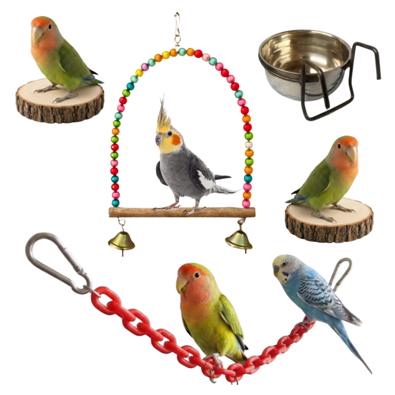 CHAINLINKTOY_18
