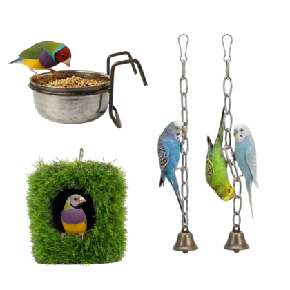 5 Pcs Birdy Bundle Pack for Java Finch & Small Parrots