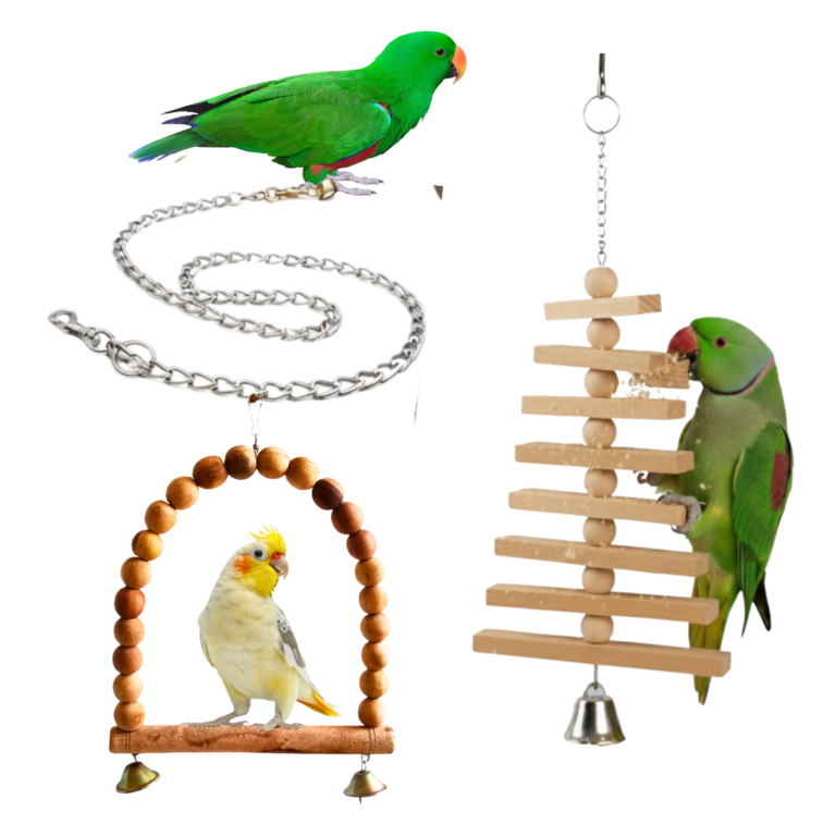 CHAINLINKTOY_21