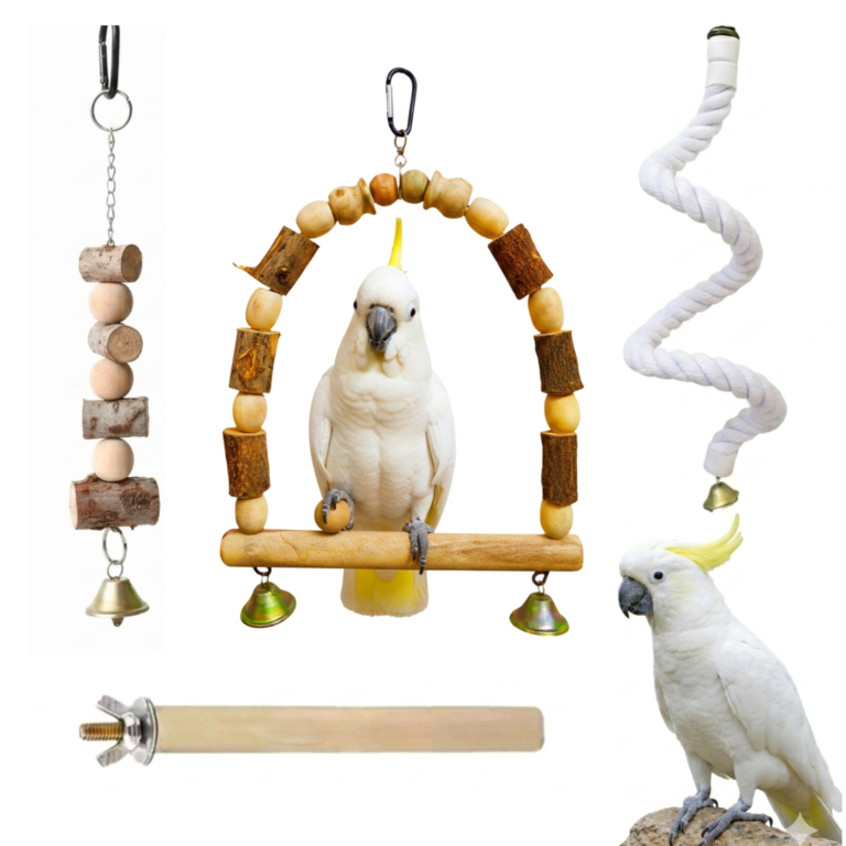 CHAIN_LINK_TOY_20