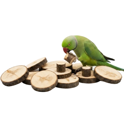 Natural Wood Chew Discs for Parrots – Beak Care Toy