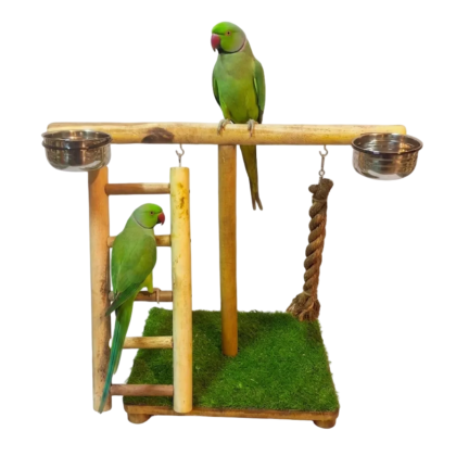 Premium T-Style Bird Play Stand with Activity Enrichment Toys