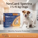 NexGard Spectra for Dogs 7.5–15 kg – Flea, Tick, Heartworm & Worm Protection