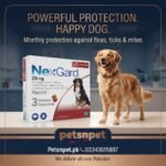 Nexgard Chewable Tablet For Dogs Weight 25-50Kg – 1 Tablet