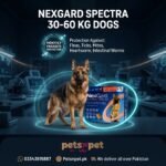 NexGard Spectra 30–60 kg