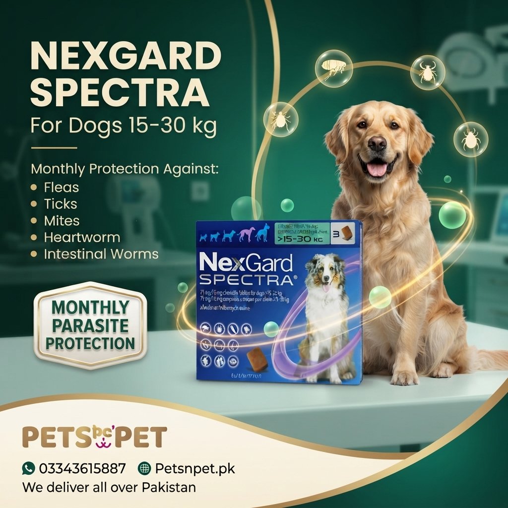 NexGard Spectra for Dogs 15–30 kg – Chewable Tablet