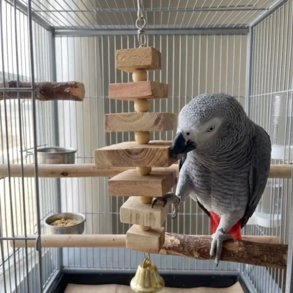Compact Cubic Wooden Birds Shredder Toy with Bell