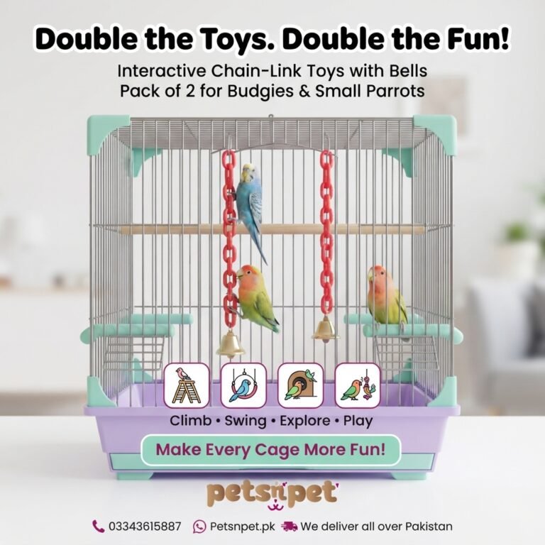 Pack of 2 Interactive Chain-Link Toy with Bell for Budgies & Small Parrots