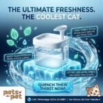 Automatic Cat Water Fountain – Transparent Water Dispenser for Cats & Small Pets