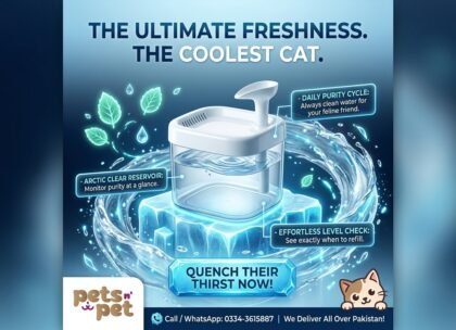 Automatic Cat Water Fountain – Transparent Water Dispenser for Cats & Small Pets