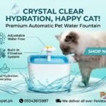 Automatic Pet Water Drinking Fountain
