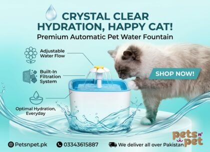 Automatic Pet Water Drinking Fountain